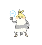 おれたちインコ（個別スタンプ：1）