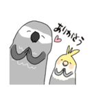 おれたちインコ（個別スタンプ：2）