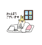 おれたちインコ（個別スタンプ：3）