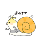 おれたちインコ（個別スタンプ：5）