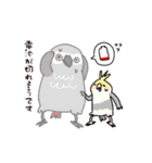 おれたちインコ（個別スタンプ：10）