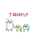 おれたちインコ（個別スタンプ：15）