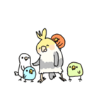 おれたちインコ（個別スタンプ：24）