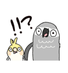 おれたちインコ（個別スタンプ：31）