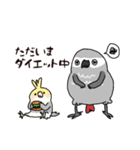 おれたちインコ（個別スタンプ：33）
