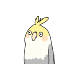 おれたちインコ（個別スタンプ：36）