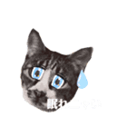 Bar Gami Bear2（個別スタンプ：13）