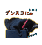 黒猫のヒナタ2（個別スタンプ：27）