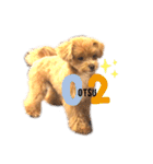 マルプーマルコⅣ（個別スタンプ：17）