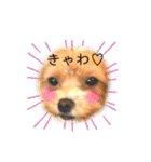 マルプーマルコⅣ（個別スタンプ：22）