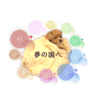 マルプーマルコⅣ（個別スタンプ：39）