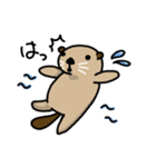 らっこです（個別スタンプ：3）