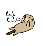 らっこです（個別スタンプ：8）