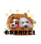 しなもんと仲間たち。（個別スタンプ：32）