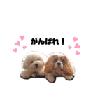 しなもんと仲間たち。（個別スタンプ：39）