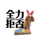 しなもんと仲間たち。（個別スタンプ：40）