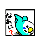 インコみっちり詰め合わせ（個別スタンプ：39）