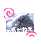 アルファαとラムダλのにゃんすた5（個別スタンプ：10）