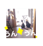 アルファαとラムダλのにゃんすた5（個別スタンプ：13）