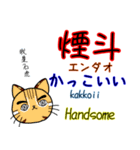パンダ，時々台湾山猫(日本語＆台湾語＆英語)（個別スタンプ：30）
