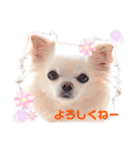 みる姉さんとまーしゃくん（個別スタンプ：1）