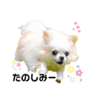 みる姉さんとまーしゃくん（個別スタンプ：4）