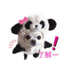 みる姉さんとまーしゃくん（個別スタンプ：5）