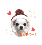みる姉さんとまーしゃくん（個別スタンプ：8）