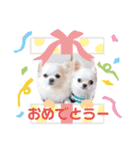 みる姉さんとまーしゃくん（個別スタンプ：12）