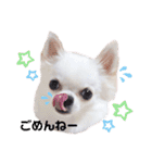 みる姉さんとまーしゃくん（個別スタンプ：16）