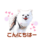 みる姉さんとまーしゃくん（個別スタンプ：18）
