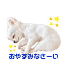 みる姉さんとまーしゃくん（個別スタンプ：20）