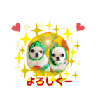みる姉さんとまーしゃくん（個別スタンプ：24）