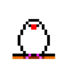 動く！ドット絵文鳥。（個別スタンプ：23）