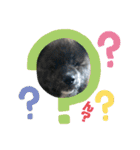 秋田犬はーくん時々しろわん（個別スタンプ：6）