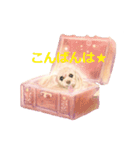 あまえんぼうジョシュア3（個別スタンプ：7）