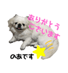4ペキLIFE（個別スタンプ：7）