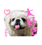 4ペキLIFE（個別スタンプ：24）