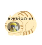 ちょぴんの使いやすいスタンプ（個別スタンプ：8）