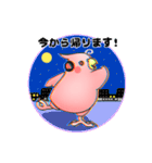 インコのアヤネのスタンプ（個別スタンプ：5）