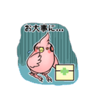 インコのアヤネのスタンプ（個別スタンプ：18）