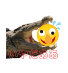 黄色い丸Lv.0（個別スタンプ：6）