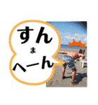 やどちんのスタ3（個別スタンプ：7）