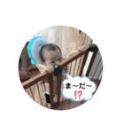 Lovely ぽろピカ（個別スタンプ：17）