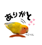 こもたん♡（個別スタンプ：9）