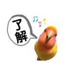 こもたん♡（個別スタンプ：12）