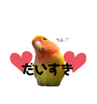 こもたん♡（個別スタンプ：18）