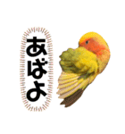 こもたん♡（個別スタンプ：19）