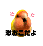 こもたん♡（個別スタンプ：20）