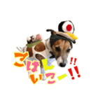 ジャックのつぶやき…時々モップ（個別スタンプ：4）